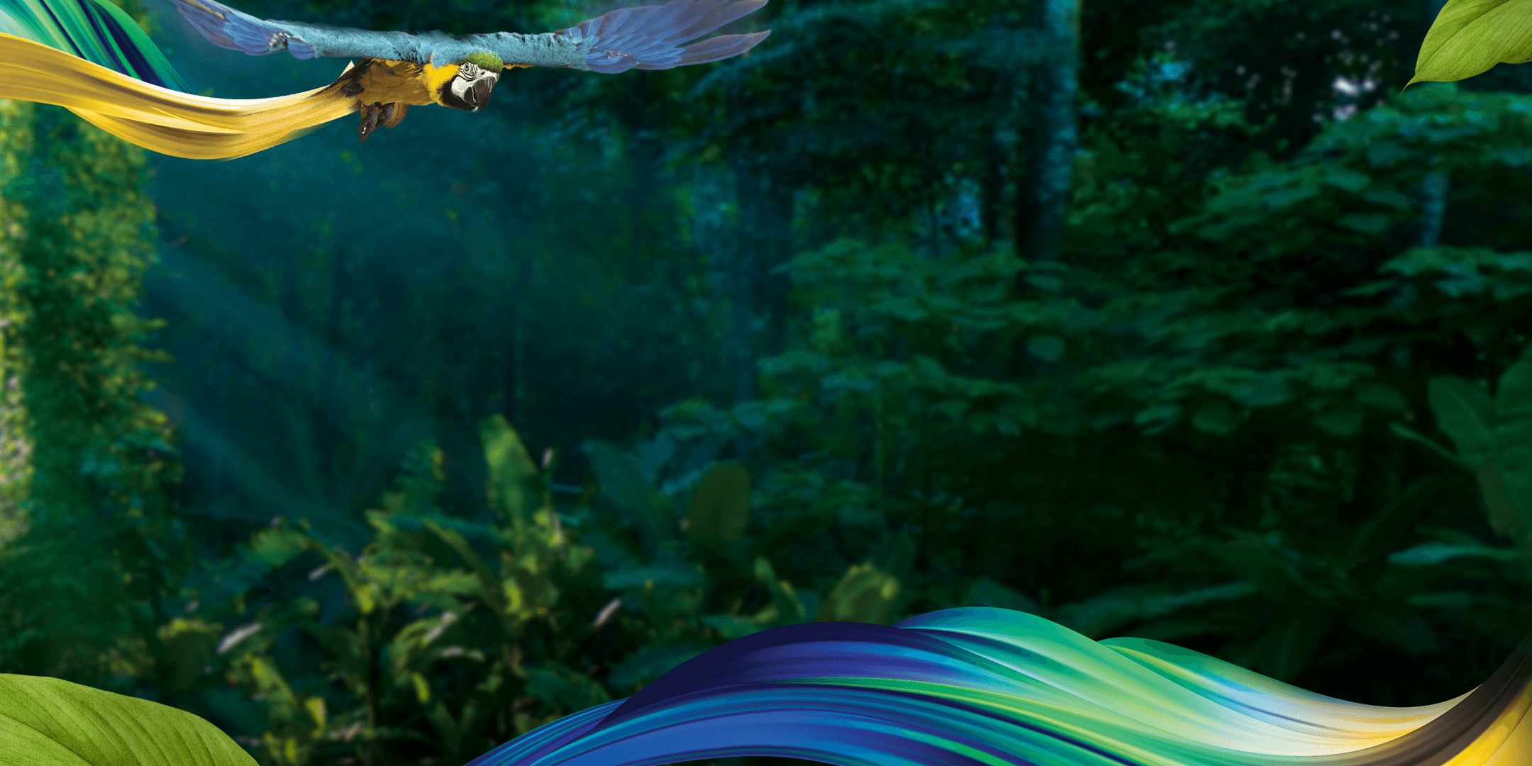 fundo-revista