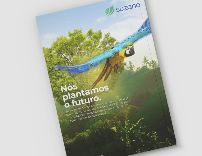 revista15